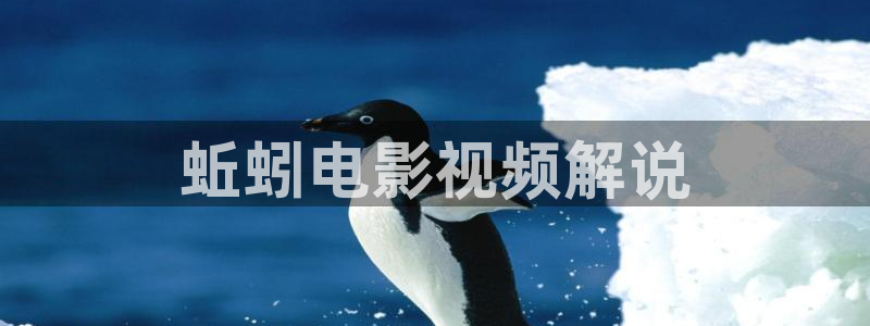 欧美午夜精品电影网