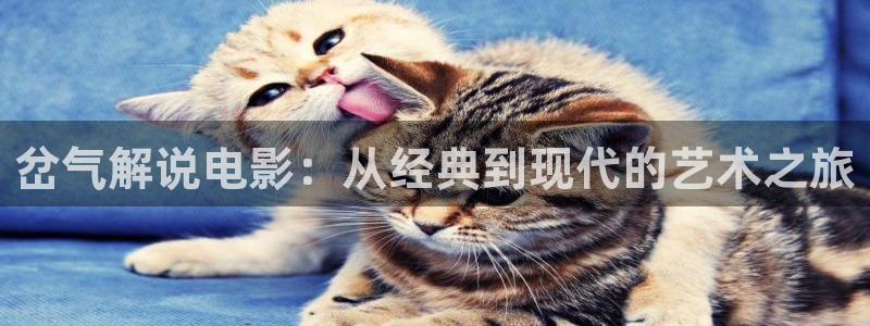 看看屋电影午夜