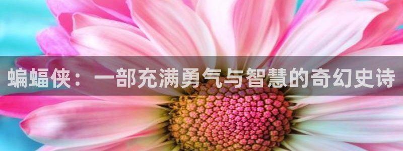欧美午夜影视大全