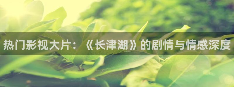 新闻图片