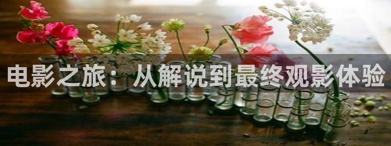 午夜拍拍av大片