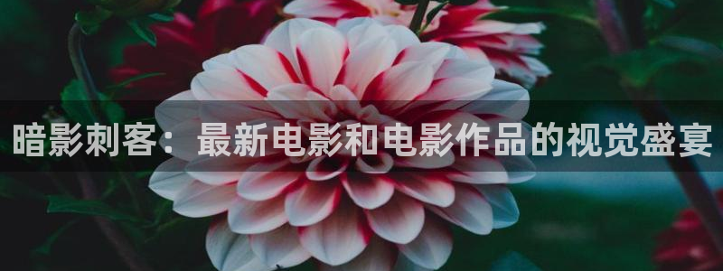 神马午夜我不卡