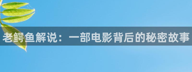 神马电影午夜免费观看