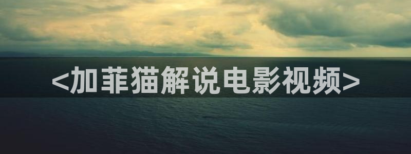 午夜国产av网站