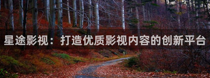 5g午夜在线视讯