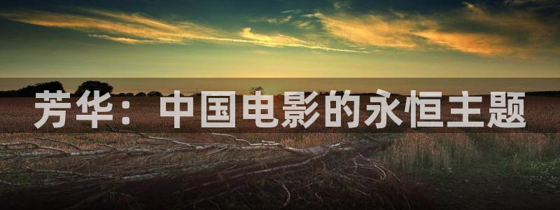 337p午夜影院