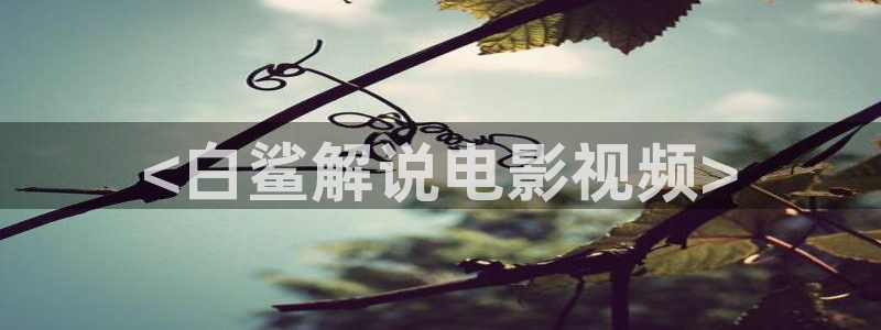 电家庭影院午夜29332