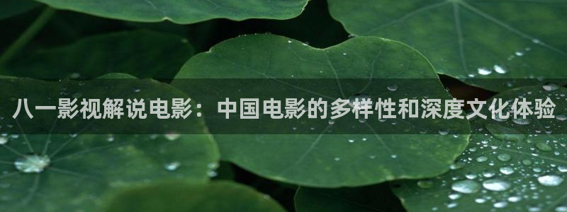 午夜日韩私人大片