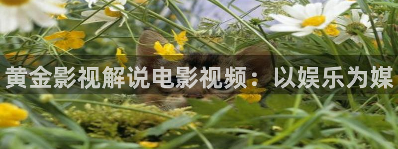 秋霞电影院午夜伦高清a