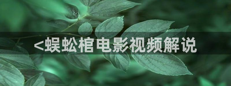 5060网8050午夜在线观看
