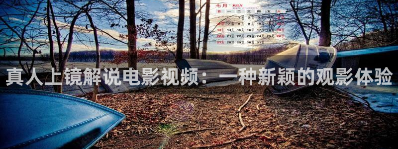 理论午夜片