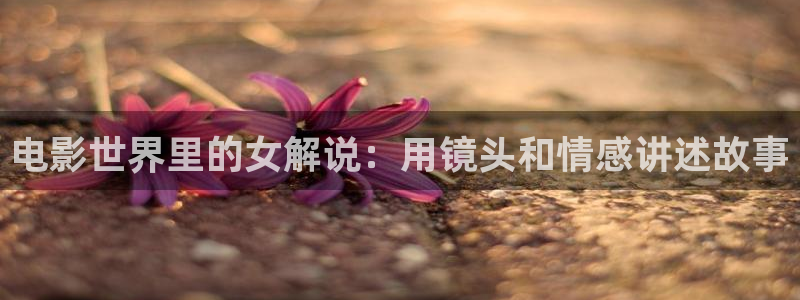 苍苍影视欧美午夜