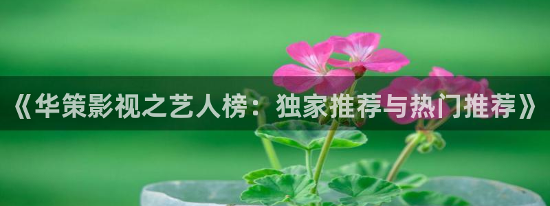 午夜片一级