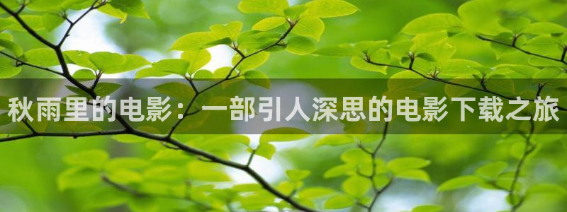 电影午夜大片在线观看