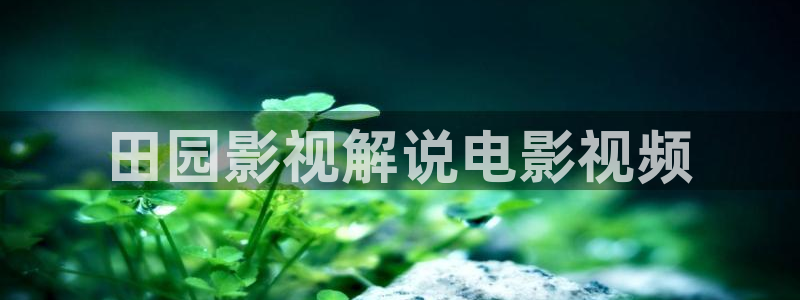 午夜看片app